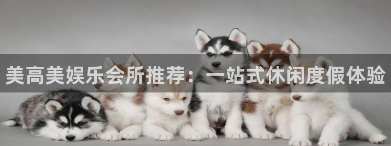 恒行体育网页版入口：美高美娱乐会所推荐：一站式休闲度假体验