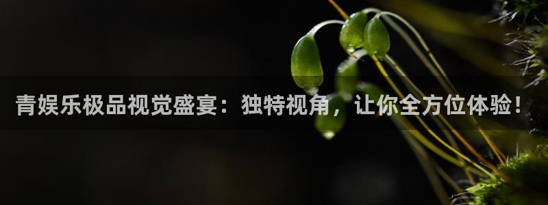 恒行3登录：青娱乐极品视觉盛宴：独特视角，让你全方位体验！