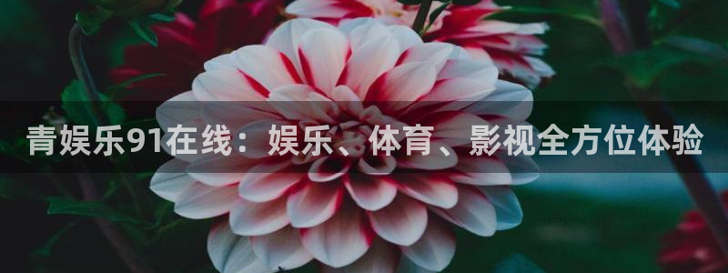 恒行集团总部：青娱乐91在线：娱乐、体育、影视全方位体验