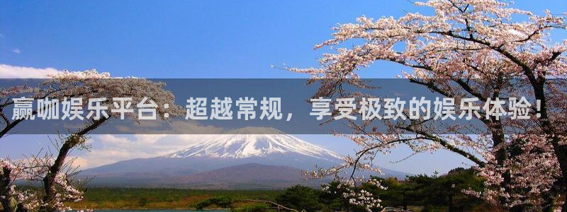 恒行官网注册：赢咖娱乐平台：超越常规，享受极致的娱乐体验！