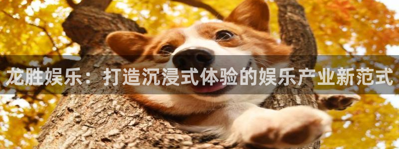恒行kgame：龙胜娱乐：打造沉浸式体验的娱乐产业新范式
