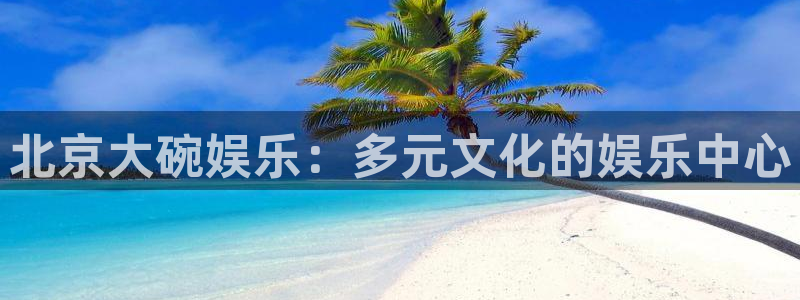 上海恒行汽车电子有限公司：北京大碗娱乐：多元文化的娱乐中心