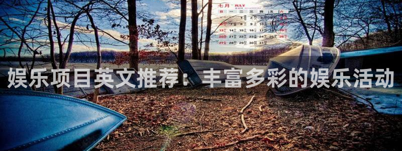 恒行5招商：娱乐项目英文推荐：丰富多彩的娱乐活动