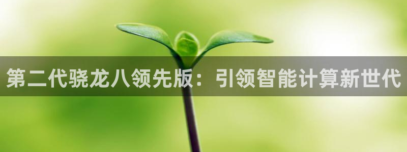 恒行2体育登录入口：第二代骁龙八领先版：引领智能计算新世代