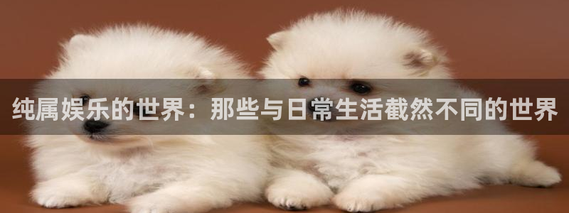 恒行代理：纯属娱乐的世界：那些与日常生活截然不同的世界