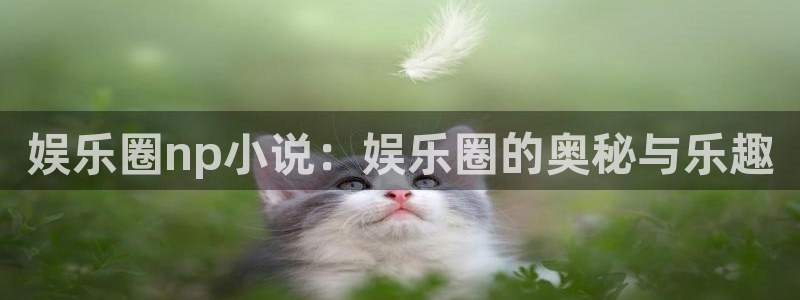 恒行3代理：娱乐圈np小说：娱乐圈的奥秘与乐趣