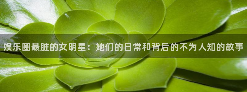 恒行体育f开户：娱乐圈最脏的女明星：她们的日常和背后的不为人知的故事