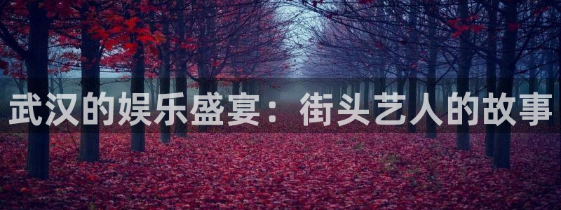 恒行集团官网：武汉的娱乐盛宴：街头艺人的故事