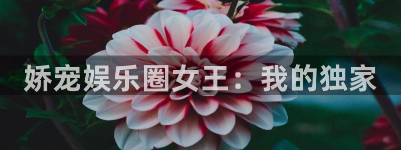 恒行官网入口：娇宠娱乐圈女王：我的独家