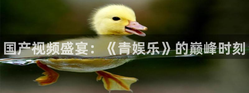 德国恒行集团：国产视频盛宴：《青娱乐》的巅峰时刻