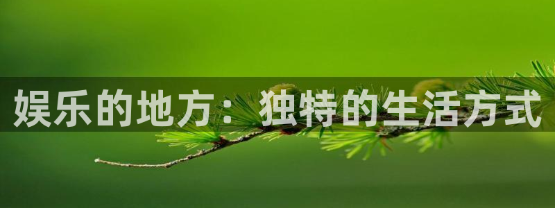 恒行平台注册入口：娱乐的地方：独特的生活方式