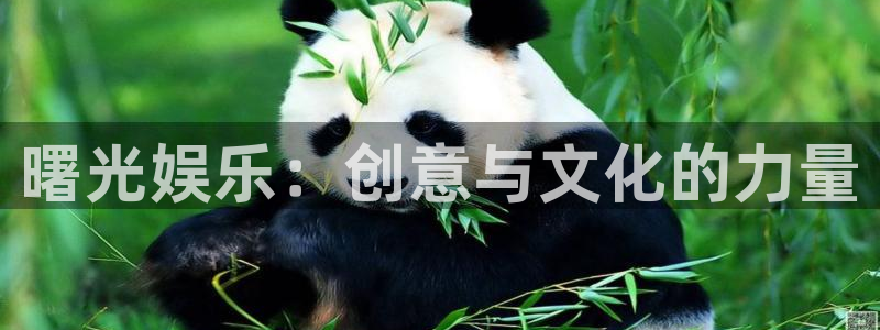 福建恒行机电股份公司：曙光娱乐：创意与文化的力量