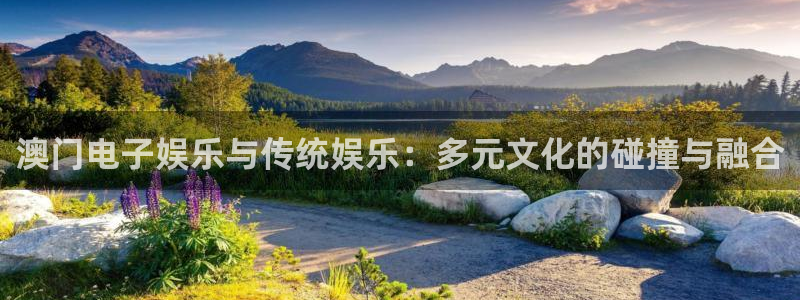 恒行登录注册：澳门电子娱乐与传统娱乐：多元文化的碰撞与融合