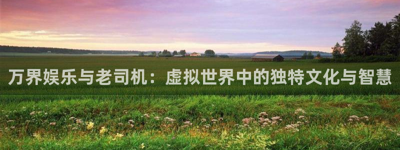 福建恒行机电股份公司：万界娱乐与老司机：虚拟世界中的独特文化与智慧