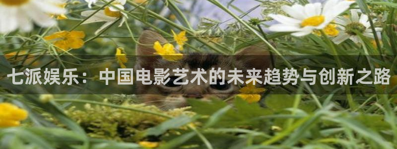 恒行招商：七派娱乐：中国电影艺术的未来趋势与创新之路