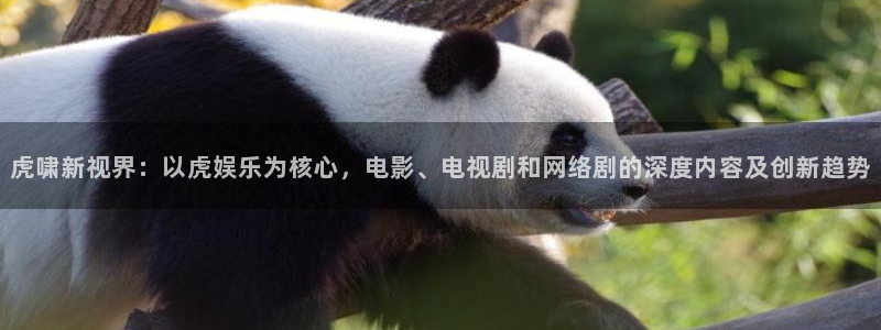 恒行体育4：虎啸新视界：以虎娱乐为核心，电影、电视剧和网络剧的深度内容及创新趋势