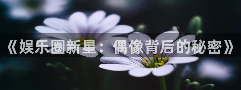 恒行4平台：《娱乐圈新星：偶像背后的秘密》