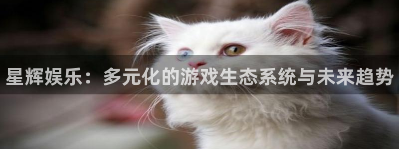 恒行体育注册平台：星辉娱乐：多元化的游戏生态系统与未来趋势
