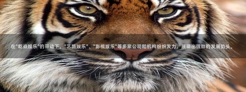 恒行平台：在\