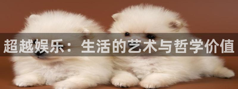 恒行体育和杏耀是哪个公司的：超越娱乐：生活的艺术与哲学价值