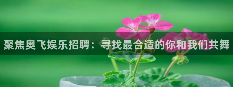 恒行股份：聚焦奥飞娱乐招聘：寻找最合适的你和我们共舞