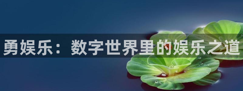 恒行主管：勇娱乐：数字世界里的娱乐之道