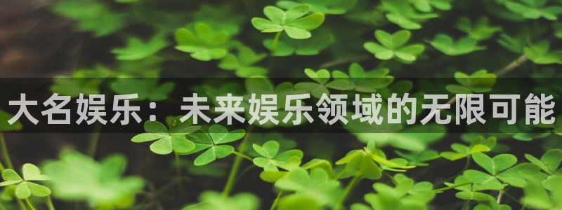 恒行体育官网：大名娱乐：未来娱乐领域的无限可能