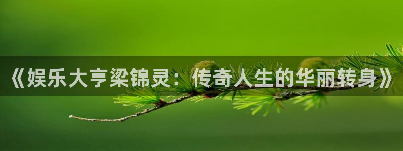 恒行平台注册：《娱乐大亨梁锦灵：传奇人生的华丽转身》