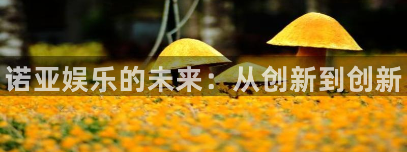 恒行体育代理申请流程：诺亚娱乐的未来：从创新到创新