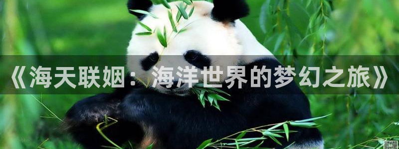 www.恒行体育.com：《海天联姻：海洋世界的梦幻之旅》