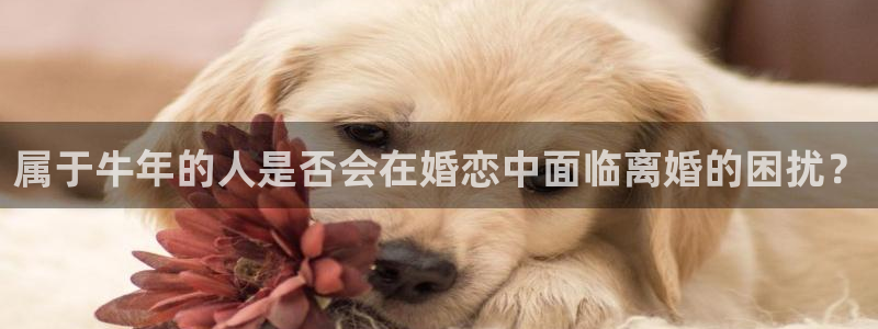 恒行体育代理申请流程：属于牛年的人是否会在婚恋中面临离婚的困扰？